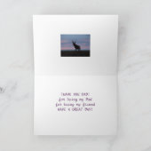 D3 Mule Deer Buck Sunrise Buck Karte (Innenseite)