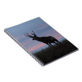 D3 Mule Deer Buck Sunrise Buck Notizblock (Rechte Seite)