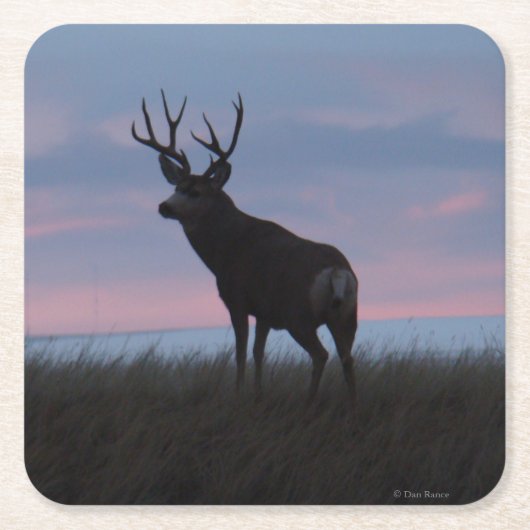 D3 Mule Deer Buck Sunrise Buck Rechteckiger Pappuntersetzer (Vorderseite)
