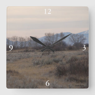 D4 Maultierhirsch und Sweet Grass Hills Quadratische Wanduhr