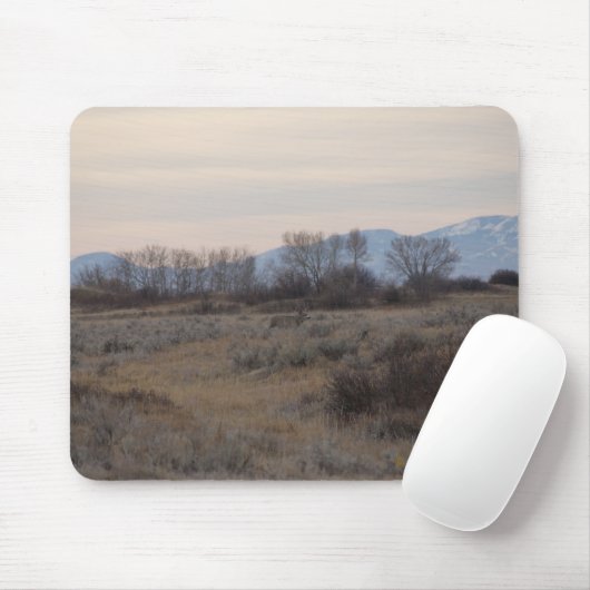 D4 Mule Deer Buck and Sweet Grass Hills Mousepad (Mit Mouse)