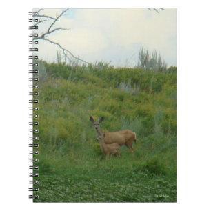 D5 Maultierhirschkuh und Kitz Notizblock