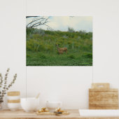 D5 Maultierhirschweibchen und Kitz Poster (Küche)