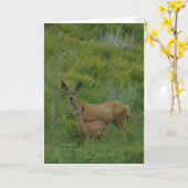 D5 Mule Deer Doe and Fawn Karte (Gelbe Blume)