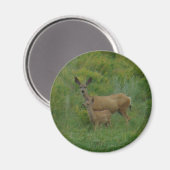 D5 Mule Deer Doe and Fawn Magnet (Vorderseite/Rückseite)
