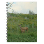 D5 Mule Deer Doe and Fawn Notizblock (Vorderseite)