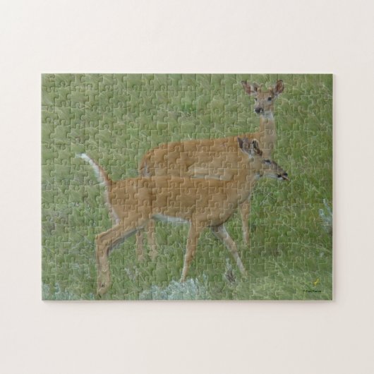 D6 Weißschwanzbucks für Hirsche Puzzle (Horizontal)