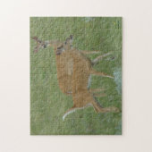 D6 Weißschwanzbucks für Hirsche Puzzle (Vertikal)