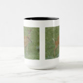 D6 Weißschwanzbucks für Hirsche Tasse (Zentrum)