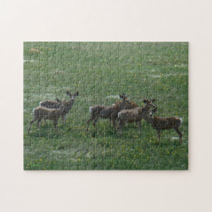 D7 Maultierhirsch Frühjahrsböcke Puzzle