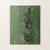 D7 Mule Dee Spring Bucks Puzzle (Vertikal)