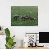D7 Mule Deer Spring Bug on Green Poster (Heimbüro)
