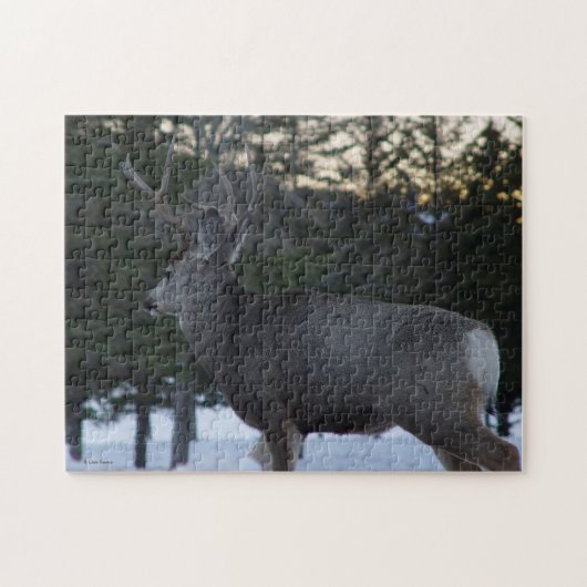 D8 Mule Deer Buck Puzzle (Horizontal)