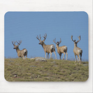D9 Maultierhirsche im Velvet Mousepad
