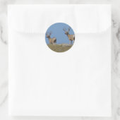 D9 Maultierhirsche in Samt Runder Aufkleber (Tasche)