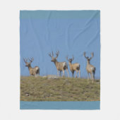 D9 Mule Deer Bucks in Velvet Sky Lined Fleecedecke (Vorderseite)