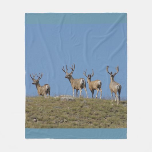 D9 Mule Deer Bucks in Velvet Sky Lined Fleecedecke (Vorderseite)
