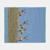 D9 Mule Deer Bucks in Velvet Sky Lined Fleecedecke (Vorderseite (Horizontal))