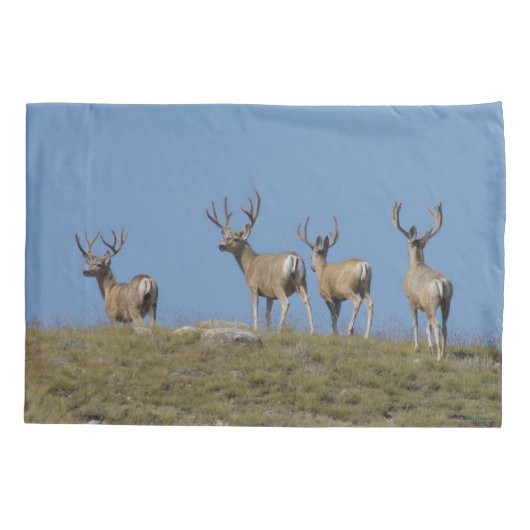 D9 Mule Deer Bucks in Velvet Sky Lined Kissenbezug (Rückseite)