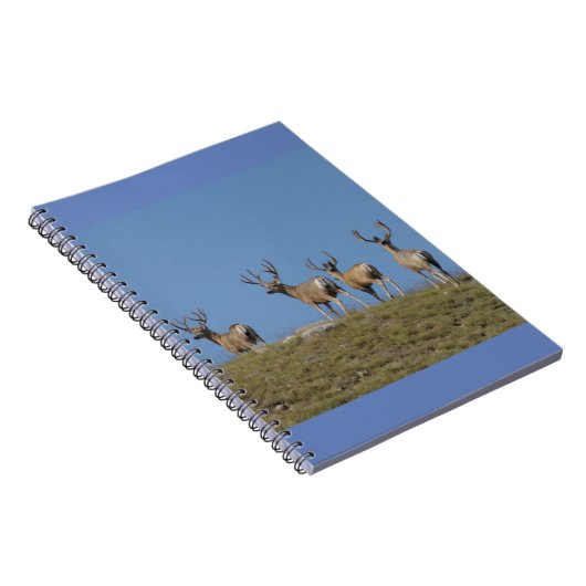 D9 Mule Deer Bucks in Velvet Skyline Notizblock (Rechte Seite)