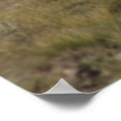 D9 Sauerklemme Poster (Ecke)