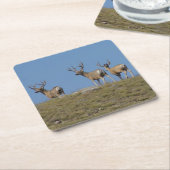 D9 Sauerklemme Rechteckiger Pappuntersetzer (angewinkelt)