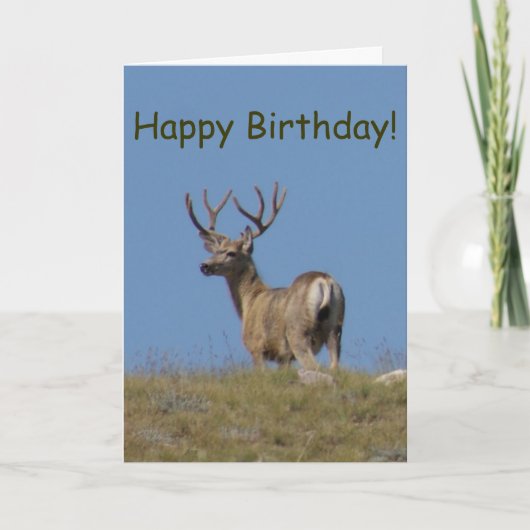D9a Mule Deer Buck in Velvet Karte (Vorderseite)