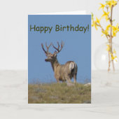 D9a Mule Deer Buck in Velvet Karte (Gelbe Blume)