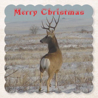 D 20 Mule Deer Buck in Snow Coaster Untersetzer
