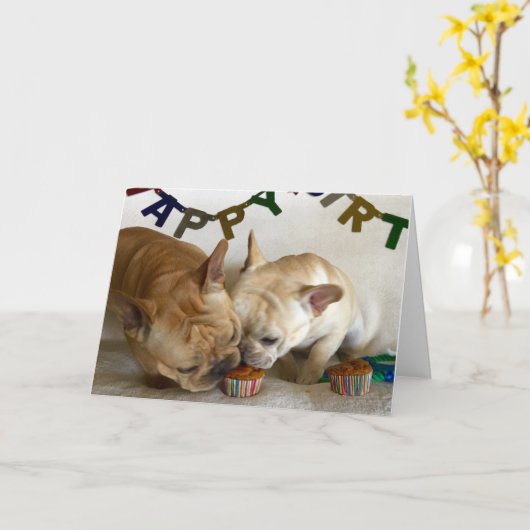 D & D Geburtskarte Karte (Gelbe Blume)