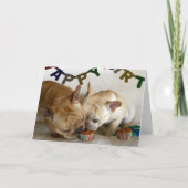 D & D Geburtskarte Karte (Vorderseite)