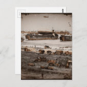 D-Day Landings Verschiedene Bilder Postkarte (Vorne/Hinten)