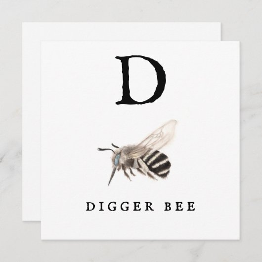 "D" Digger Bee (Vorne/Hinten)