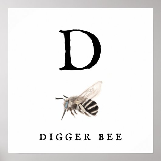 "D" Digger Bee Value Poster Paper (Matte) (Vorne)