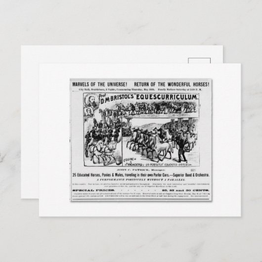 D. M. Bristols Equescurriculum Ad Postkarte (Vorne/Hinten)