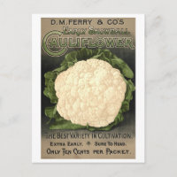 D. M. Ferry & Co. Blumenkohl Werbung für Saatgut