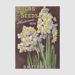 D.M. Ferry & Co. Herbst 1898 Vintage-Samenkatalog Seidenpapier