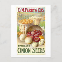 D. M. Ferry & Co. Vintage Zwiebelsamen-Werbung
