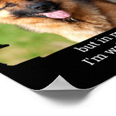 D Pet Photo Funny Dog Dad Poster (Ecke)