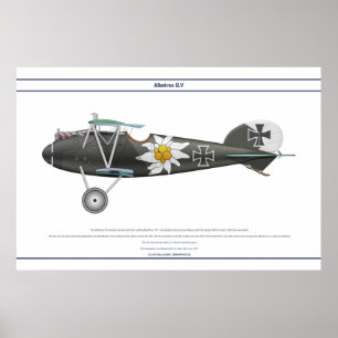 D.V Jasta 16b Poster