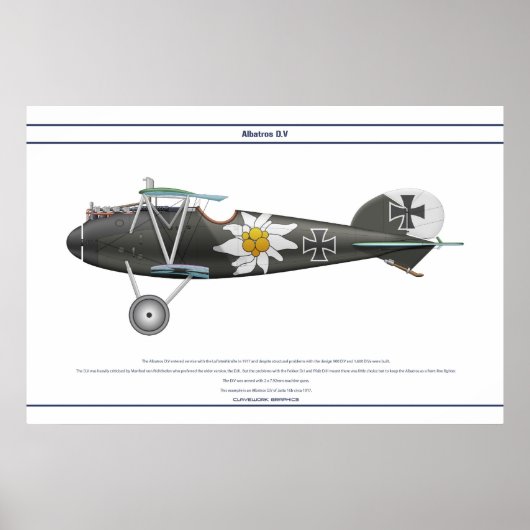 D.V Jasta 16b Poster (Vorne)