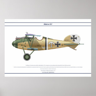 D.V Jasta 21 Poster