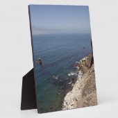 da draußen fotoplatte (Seite)