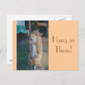 Da einhängen, Eichhörnchen Postkarte (Vorne/Hinten)