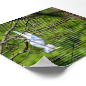 Da hängen poster (Ecke)