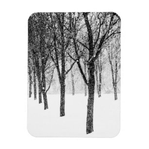 da ich mich auf die Seite der Bäume stelle Magnet