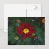 Da ist eine Mutter in der Luft.. Postkarte (Vorne/Hinten)