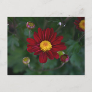 Da ist eine Mutter in der Luft.. Postkarte