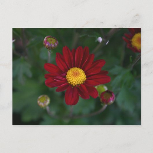 Da ist eine Mutter in der Luft.. Postkarte (Vorderseite)