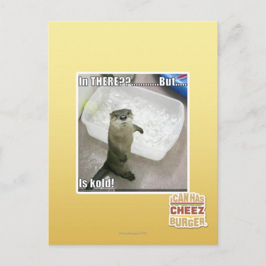 Da? Ist kalt! Postkarte (Vorderseite)